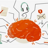 Featured Reading on Executive Function