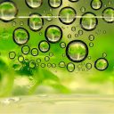 TUES 5/2 at 6:30pm | Survival in the Fire Swamp